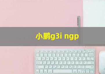 小鹏g3i ngp